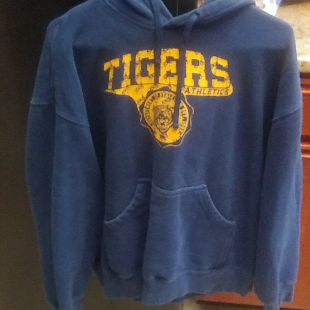 Blue Hoodie